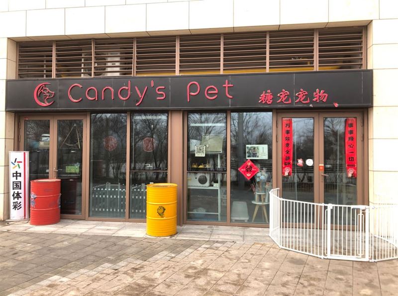 Candy’sPet糖宠宠物的图标