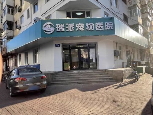 瑞派宠物医院的图标